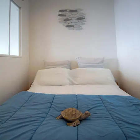 Vue A Pied * Saint-Raphael (Var)