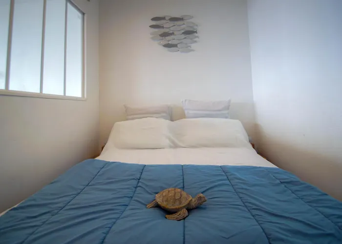 Azur Antheor - Vue D'exception * Saint-Raphaël